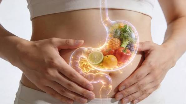 Digestive Comfort digestive wellness illustration
